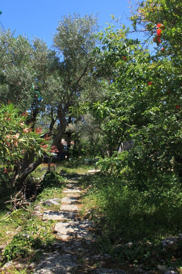 Appartement By The Sea Valun, Cres - 386 Valun